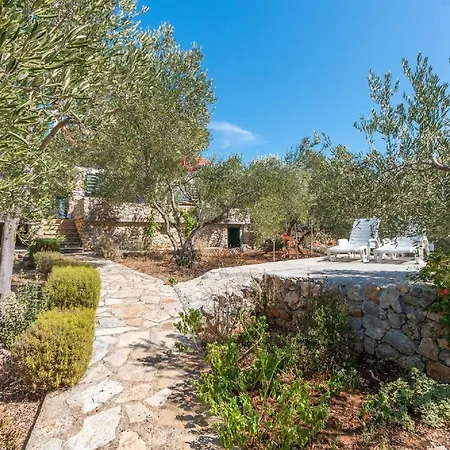 House Jure * טקון