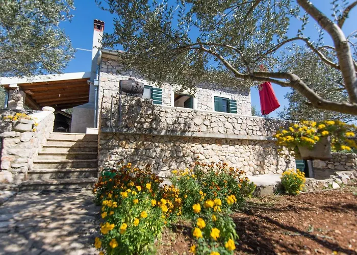 House Jure Дом отдыха *