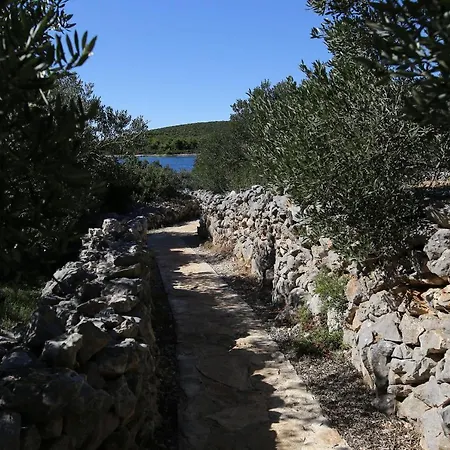 Dom wakacyjny House Jure