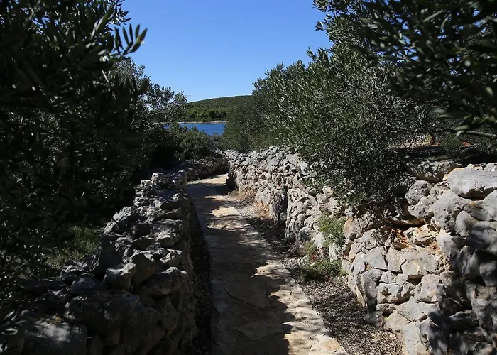 Semesterbostad House Jure